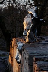 Хельсинки