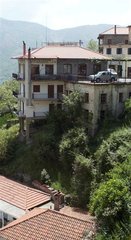 IMG_2339