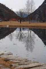 IMG_8488_resize