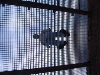 IMG_5512